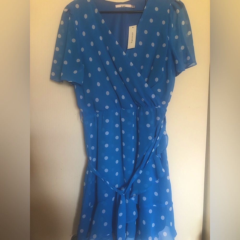 Francesca’s Blue polka dot dress size large. Never been worn.